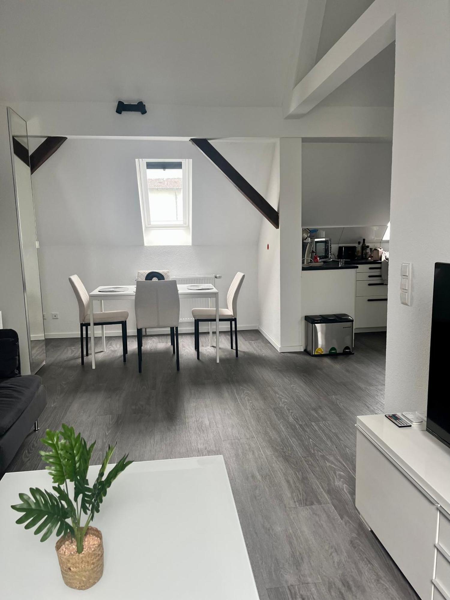 Rk-Lounge,2- Zimmer Wohnung - Modern Und Stylisch 巴登-巴登 外观 照片